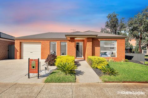 Property photo of 7 Ampelon Street Manor Lakes VIC 3024