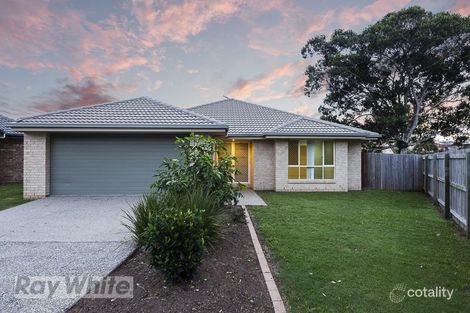 Property photo of 3 Bream Place Redland Bay QLD 4165