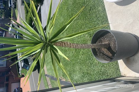 Property photo of 69 Flinders Crescent Hinchinbrook NSW 2168