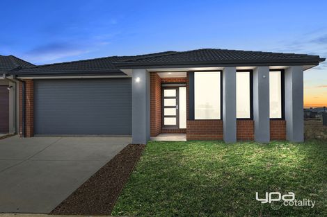Property photo of 14 Jordan Rise Cobblebank VIC 3338