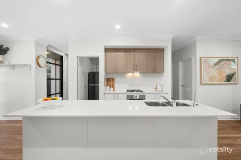 Property photo of 13 Riesling Avenue Glengowrie SA 5044