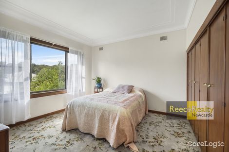Property photo of 13 Vale Street Birmingham Gardens NSW 2287
