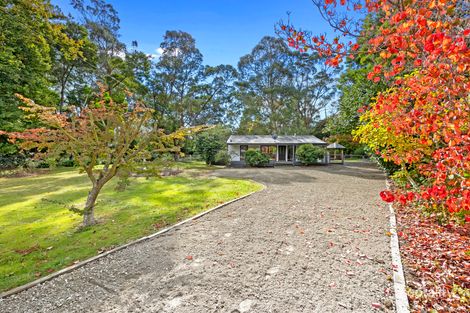 Property photo of 50 Mareeba Avenue Buxton VIC 3711