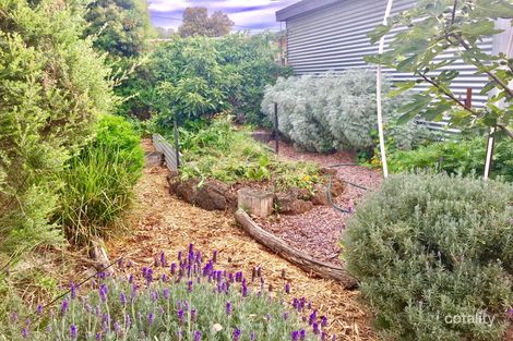 Property photo of 20A Fergusson Street Camperdown VIC 3260