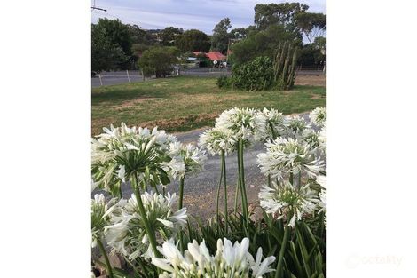 Property photo of 1A Shakes Road Nairne SA 5252