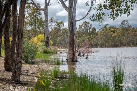 650 Gellibrand Tonks Rd, Earlston, VIC 3669