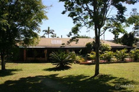 Property photo of 53 Jalan Street Tanah Merah QLD 4128