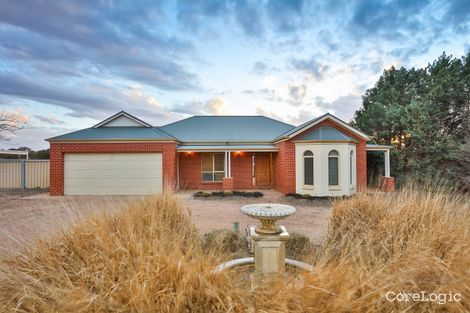 Property photo of 100 Coorong Avenue Irymple VIC 3498