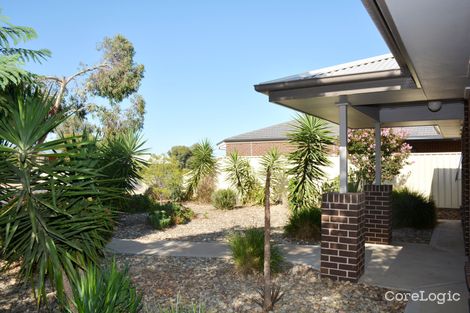 Property photo of 14 Bisogni Drive Cobram VIC 3644