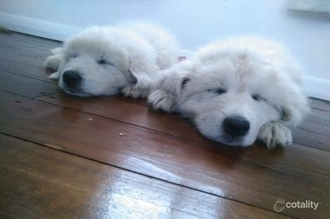 Contact Agent For Address, Moolboolaman, QLD 4671