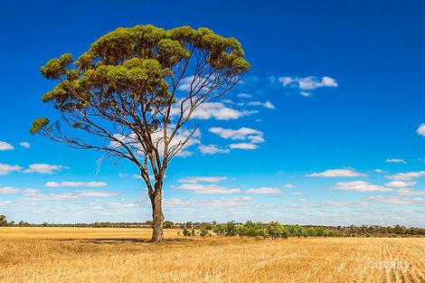 1140 Ranford Rd, Ewlyamartup, WA 6317