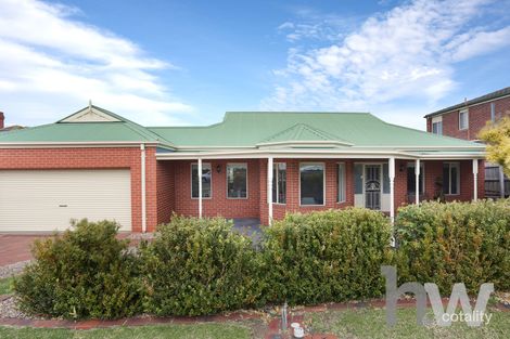 Property photo of 43 Mulquiney Crescent Highton VIC 3216