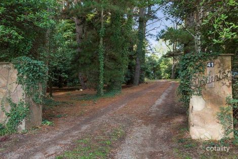 Property photo of 41 Callanans Road Red Hill South VIC 3937