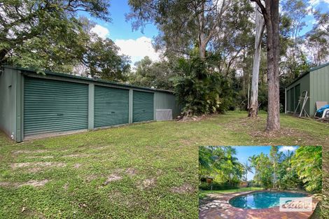 Property photo of 41 Timor Avenue Loganholme QLD 4129