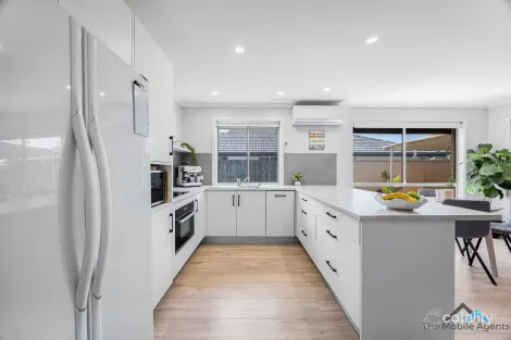 Property photo of 14 Shenton Way Nerang QLD 4211