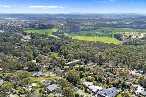 Property photo of 11 Ross Avenue The Basin VIC 3154