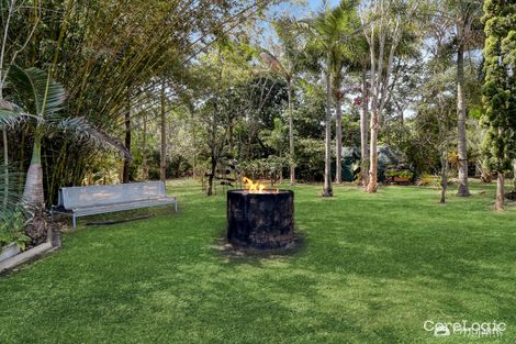 Property photo of 489 Eichelberger Street Frenchville QLD 4701