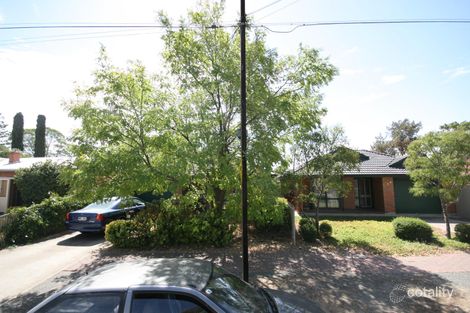 91 Nunyah Ave, Morphettville, SA 5043