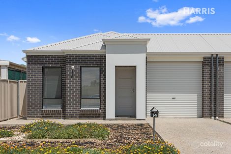 14 Harcourt Ave, Clovelly Park, SA 5042