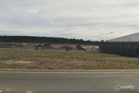 Property photo of 36 Brokenwood Avenue Cliftleigh NSW 2321