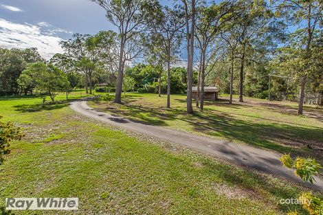 Property photo of 35 Wheaton Street Narangba QLD 4504