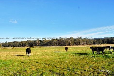 Property photo of 3151 Railton Road Latrobe TAS 7307