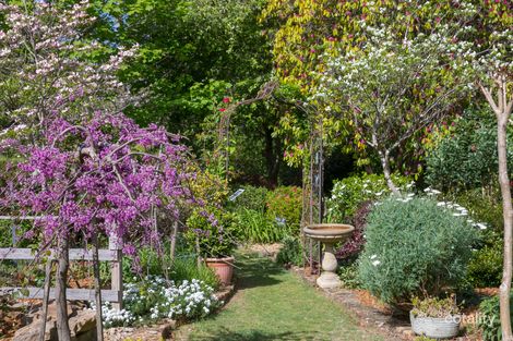 18 Asquith Ave, Wentworth Falls, NSW 2782