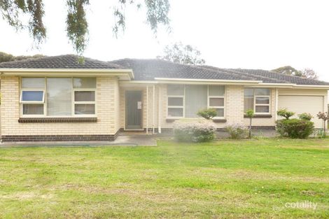 11 Palumbo Ave, Newton, SA 5074