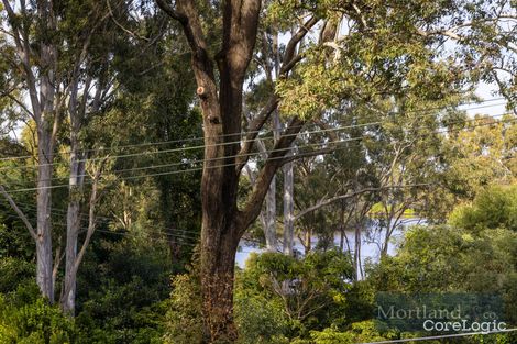 Property photo of 19 Tarcoola Street St Lucia QLD 4067