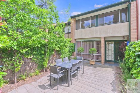 Property photo of 6 Angas Court Adelaide SA 5000