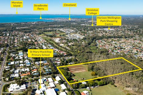 167 Collingwood Rd, Birkdale, QLD 4159
