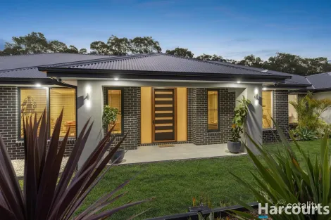 Property photo of 38 Swiftwing Close Chisholm NSW 2322