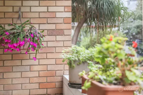 Property photo of 3/19 Station Street Dundas NSW 2117