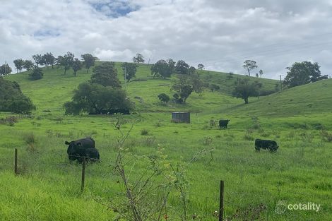 258 Grosses Creek Rd, Buckajo, NSW 2550