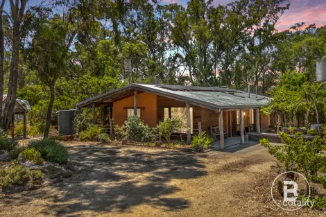 Property photo of 195 Wolfs Lane Avoca VIC 3467