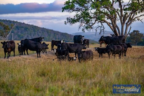 793 Dangars Falls Rd, Dangarsleigh, NSW 2350