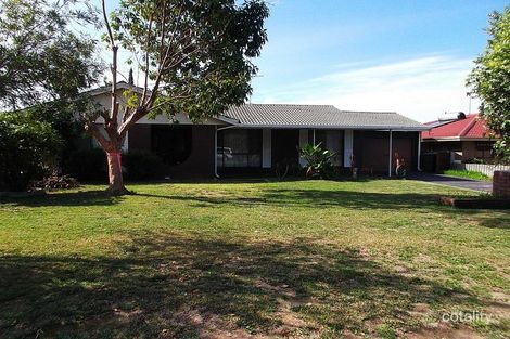 6 Sheoak St, Manjimup, WA 6258