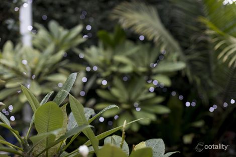 Property photo of 46 Cook Road Centennial Park NSW 2021