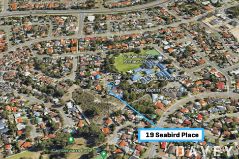 Property photo of 19 Seabird Place Craigie WA 6025