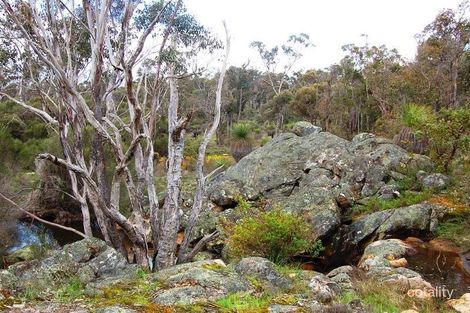 Westbourne Rd, Mayanup, WA 6244