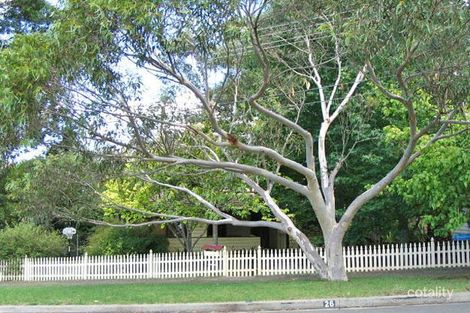 Property photo of 26 Heath Street Asquith NSW 2077