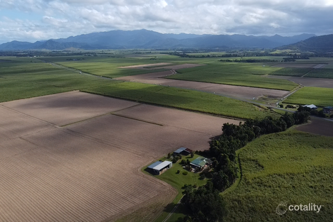 Property photo of 280 McCutcheon Road McCutcheon QLD 4856