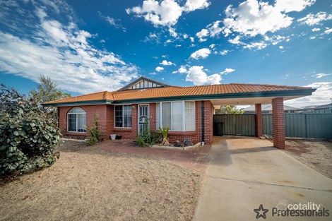 Property photo of 26 Half Moon Drive Waggrakine WA 6530