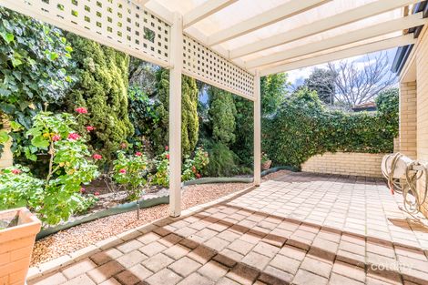 Property photo of 1/28 Orchid Street Joondanna WA 6060