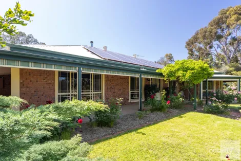 Property photo of 1 Shepherd Drive Paringa SA 5340