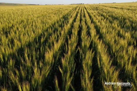 Lot 4 Larard Rd, Sandy Gully, WA 6535