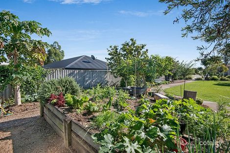 Property photo of 119/144 Dorville Road Carseldine QLD 4034
