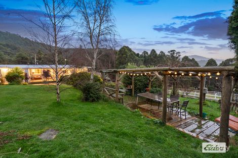Property photo of 481 Nierinna Road Margate TAS 7054