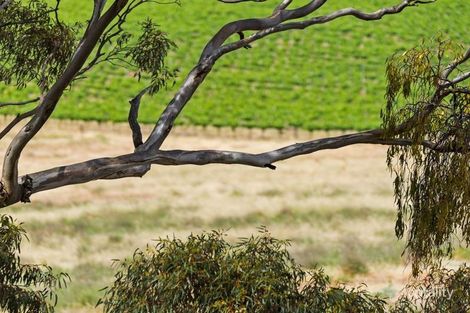 Property photo of 39 Boconnoc Park Road Armagh SA 5453