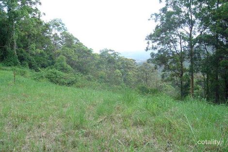 Property photo of 211 Beechmont Road Advancetown QLD 4211